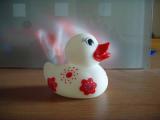Flower print duck