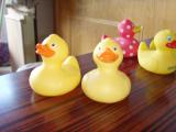 10CM duck