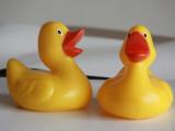 Rubber ducks